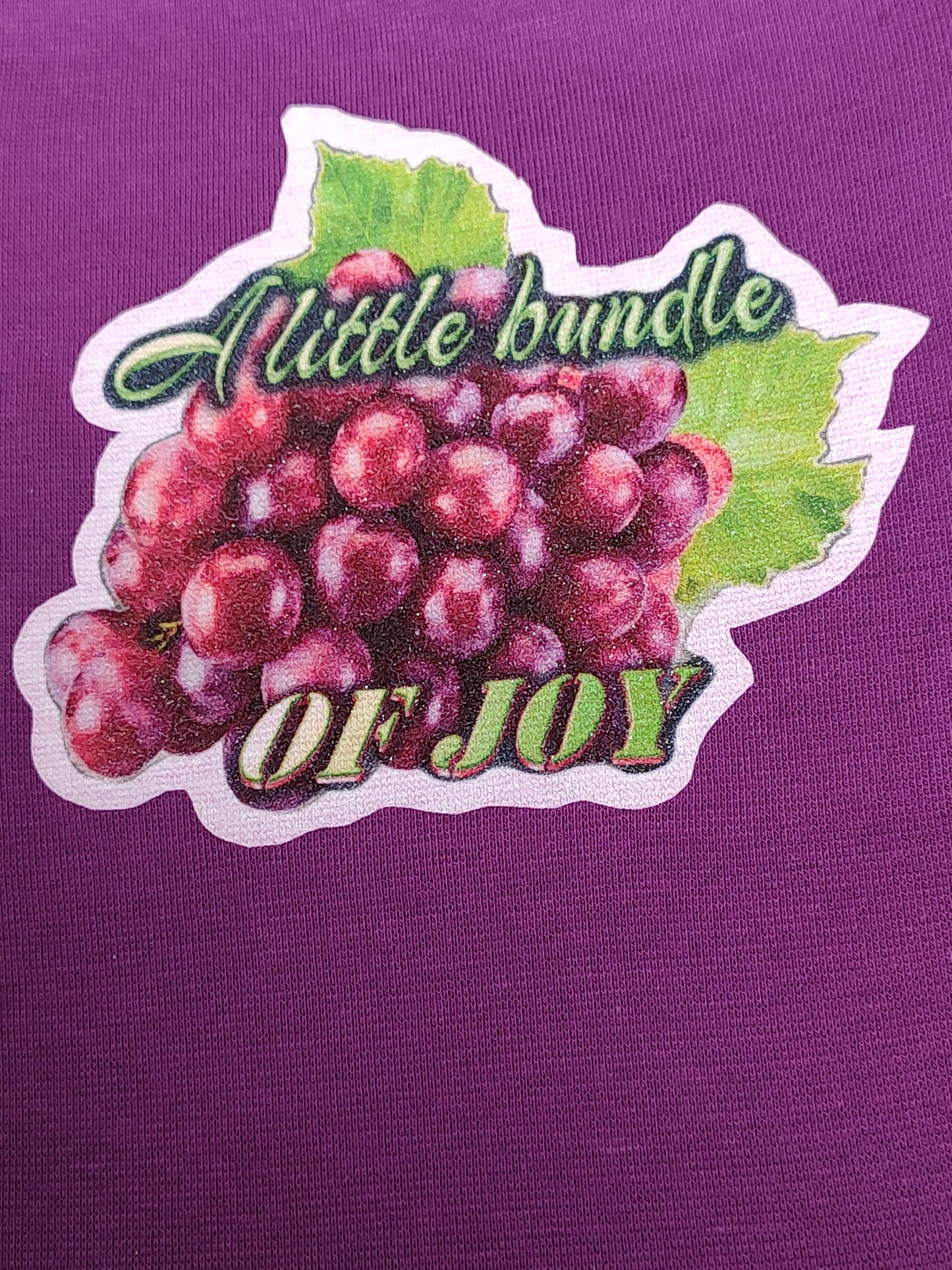 A Little Bundle of Joy dark purple baby bodysuit glitter grapes hand pressed  
Bundle of joy baby onesie purple grape graphic
www.justsaynpromos.com