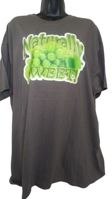 Naturally Sweet!! Glitter Tee with Green Grapes – Retro Unisex Graphic T-Shirt in White or Gray, Hand Pressed by Just Say’n Promos – Feel-Good Fruit-Inspired Apparel with Sparkle Accent
www.justsaynpromos.com